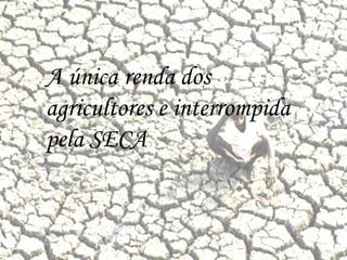 A única renda dos agricultores e interrompida pela SECA 