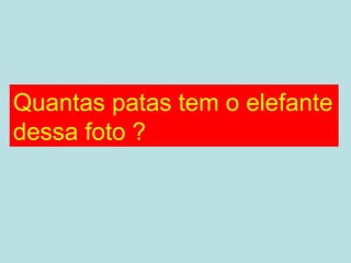 Quantas patas tem o elefante
dessa foto ?
 