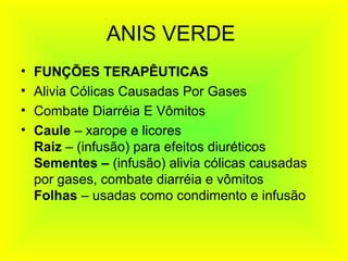 ANIS VERDE
• FUNÇÕES TERAPÊUTICAS
• Alivia Cólicas Causadas Por Gases
• Combate Diarréia E Vômitos
• Caule – xarope e licores
Raiz – (infusão) para efeitos diuréticos
Sementes – (infusão) alivia cólicas causadas
por gases, combate diarréia e vômitos
Folhas – usadas como condimento e infusão
 