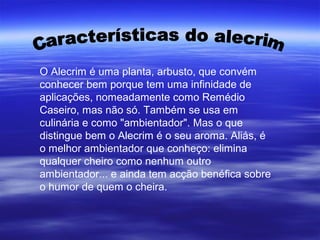 O Alecrim é uma planta, arbusto, que convém
conhecer bem porque tem uma infinidade de
aplicações, nomeadamente como Remédio
Caseiro, mas não só. Também se usa em
culinária e como "ambientador". Mas o que
distingue bem o Alecrim é o seu aroma. Aliás, é
o melhor ambientador que conheço: elimina
qualquer cheiro como nenhum outro
ambientador... e ainda tem acção benéfica sobre
o humor de quem o cheira.
 