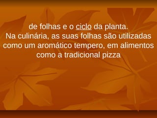 de folhas e o ciclo da planta.
Na culinária, as suas folhas são utilizadas
como um aromático tempero, em alimentos
como a tradicional pizza
 