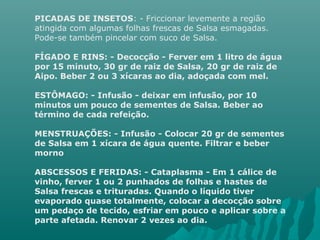 PICADAS DE INSETOS: - Friccionar levemente a região
atingida com algumas folhas frescas de Salsa esmagadas.
Pode-se também pincelar com suco de Salsa.
FÍGADO E RINS: - Decocção - Ferver em 1 litro de água
por 15 minuto, 30 gr de raiz de Salsa, 20 gr de raiz de
Aipo. Beber 2 ou 3 xícaras ao dia, adoçada com mel.
ESTÔMAGO: - Infusão - deixar em infusão, por 10
minutos um pouco de sementes de Salsa. Beber ao
término de cada refeição.
MENSTRUAÇÕES: - Infusão - Colocar 20 gr de sementes
de Salsa em 1 xícara de água quente. Filtrar e beber
morno
ABSCESSOS E FERIDAS: - Cataplasma - Em 1 cálice de
vinho, ferver 1 ou 2 punhados de folhas e hastes de
Salsa frescas e trituradas. Quando o líquido tiver
evaporado quase totalmente, colocar a decocção sobre
um pedaço de tecido, esfriar em pouco e aplicar sobre a
parte afetada. Renovar 2 vezes ao dia.
 