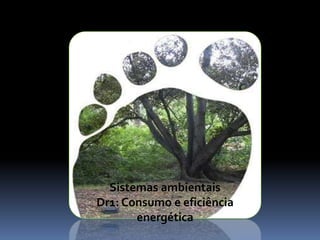 Sistemas ambientais Dr1: Consumo e eficiência energética 