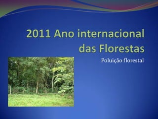 2011 Ano internacional das Florestas Poluição florestal  