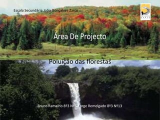 Escola Secundária João Gonçalves Zarco Poluição das florestas Área De Projecto Bruno Ramalho 8º3 Nº5; Jorge Remelgado 8º3 Nº13 