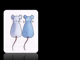 A menina que sorria a dormir