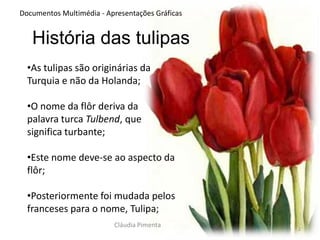 2Documentos Multimédia - Apresentações GráficasHistória das tulipasAs tulipas são originárias da Turquia e não da Holanda;