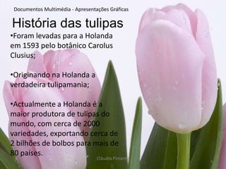 O nome da flôr deriva dapalavra turca Tulbend, que significa turbante;Este nome deve-se ao aspecto da flôr;