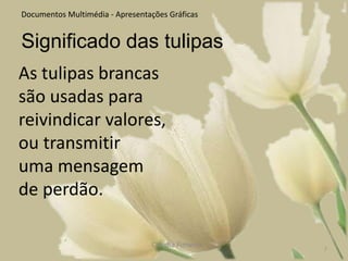 Actualmente a Holanda é a maior produtora de tulipas do mundo, com cerca de 2000 variedades, exportando cerca de 2 bilhões de bolbos para mais de 80 países.Cláudia Pimenta