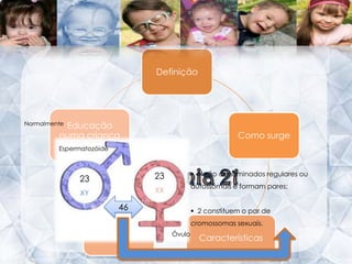 Como surgeNormalmente  EspermatozóideTrissomia 21 44 são denominados regulares ou autossomais e formam pares;