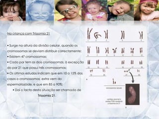   2 constituem o par de cromossomas sexuais.23XX23 XY46Óvulo