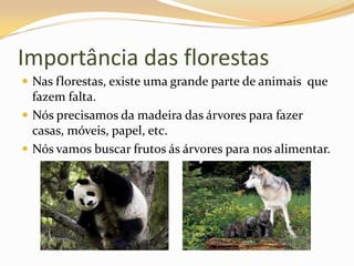 Importância das florestasNas florestas, existe uma grande parte de animais  que  fazem falta. Nós precisamos da madeira das árvores para fazer casas, móveis, papel, etc.Nós vamos buscar frutos ás árvores para nos alimentar.