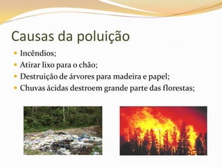 Causas da poluiçãoIncêndios;Atirar lixo para o chão;Destruição de árvores para madeira e papel;Chuvas ácidas destroem grande parte das florestas;