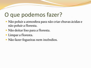 O que podemos fazer?Não poluir a atmosfera para não criar chuvas ácidas e não poluir a floresta.Não deitar lixo para a floresta.Limpar a floresta.Não fazer fogueiras nem incêndios.