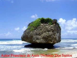 Autor:Francisco de Assis Dionísio Dos Santos
 