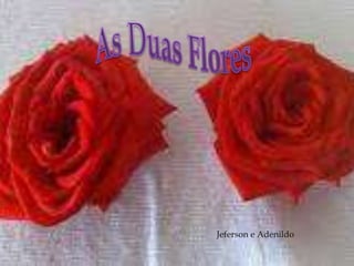 As Duas Flores  Jeferson e Adenildo 