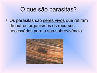 O que são parasitas? Os parasitas são  seres vivos  que retiram de outros organismos os recursos necessários para a sua sobrevivência  