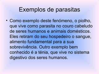 Exemplos de parasitas Como exemplo deste fenómeno, o piolho, que vive como parasita no couro cabeludo de seres humanos e animais domésticos. Eles retiram do seu hospedeiro o sangue, alimento fundamental para a sua sobrevivência. Outro exemplo bem conhecido é a ténia, que vive no sistema digestivo dos seres humanos.  
