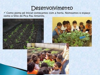 Desenvolvimento Como ponta pé Inicial começamos com a horta. Nomeamos o espaço como o Sítio do Pica Pau Amarelo. 