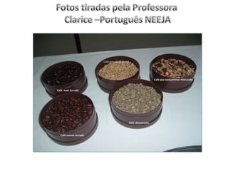 Café menos torrado  Café que sai da planta Café  descascado  Café  mais torrado  Café que consumimos misturado  