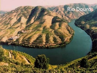 Rio Douro