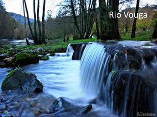 Rio Vouga
