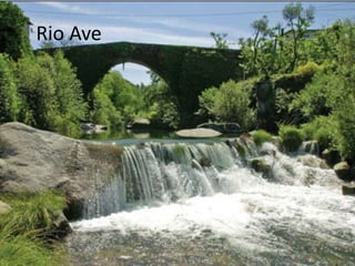    Rio Ave