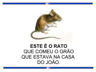 ESTE É O RATO QUE COMEU O GRÃO QUE ESTAVA NA CASA  DO JOÃO. 