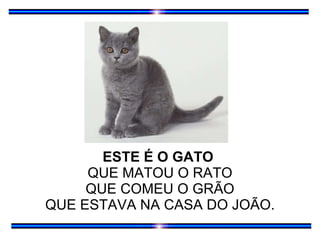 ESTE É O GATO  QUE MATOU O RATO QUE COMEU O GRÃO QUE ESTAVA NA CASA DO JOÃO. 