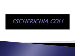 Escherichiacoli  