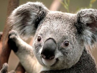 O Planeta e os seus encantos  \o/