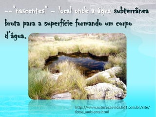 --“nascentes” – local onde a água subterrânea brota para a superfície formando um corpo d’água. http://www.naturezaevida.hd1.com.br/site/fotos_ambiente.html