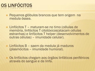 OS LINFÓCITOS
     Pequenos glóbulos brancos que tem origem na
      medula óssea.

     Linfócitos T – maturam-se no timo (células de
      memória, linfócitos T citotóxicos(atacam células
      estranhas) e linfócitos T helper (desenvolvimentos de
      outras células) – imunidade celular).

     Linfócitos B – saem da medula já maduros
      (plasmócitos – imunidade humoral).

     Os linfócitos chegam aos órgãos linfáticos periféricos
      através do sangue e da linfa.
 
