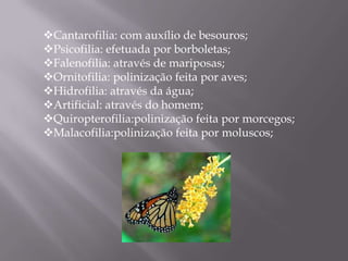 Cantarofilia: com auxílio de besouros;
Psicofilia: efetuada por borboletas;
Falenofilia: através de mariposas;
Ornitofilia: polinização feita por aves;
Hidrofilia: através da água;
Artificial: através do homem;
Quiropterofilia:polinização feita por morcegos;
Malacofilia:polinização feita por moluscos;
 