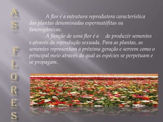 A flor é a estrutura reprodutora característica
das plantas denominadas espermatófitas ou
fanerogâmicas.
        A função de uma flor é a de produzir sementes
s através da reprodução sexuada. Para as plantas, as
sementes representam a próxima geração e servem como o
principal meio através do qual as espécies se perpetuam e
se propagam.
 
