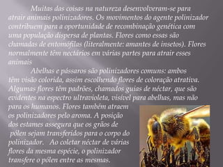 Muitas das coisas na natureza desenvolveram-se para
atrair animais polinizadores. Os movimentos do agente polinizador
contribuem para a oportunidade de recombinação genética com
uma população dispersa de plantas. Flores como essas são
chamadas de entomófilas (literalmente: amantes de insetos). Flores
normalmente têm nectários em várias partes para atrair esses
animais
        Abelhas e pássaros são polinizadores comuns: ambos
têm visão colorida, assim escolhendo flores de coloração atrativa.
Algumas flores têm padrões, chamados guias de néctar, que são
evidentes na espectro ultravioleta, visível para abelhas, mas não
para os humanos. Flores também atraem
os polinizadores pelo aroma. A posição
dos estames assegura que os grãos de
 pólen sejam transferidos para o corpo do
polinizador. Ao coletar néctar de várias
flores da mesma espécie, o polinizador
transfere o pólen entre as mesmas.
 