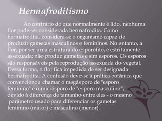 Hermafroditismo
        Ao contrário do que normalmente é lido, nenhuma
flor pode ser considerada hermafrodita. Como
hermafrodita, considera-se o organismo capaz de
produzir gametas masculinos e femininos. No entanto, a
flor, por ser uma estrutura do esporófito, é estritamente
assexuada; não produz gametas e sim esporos. Os esporos
são responsáveis pela reprodução assexuada do vegetal.
Dessa forma, a flor fica impedida de ser designada
hermafrodita. A confusão deve-se à prática botânica que
convencionou chamar o megásporo de "esporo
feminino" e o micrósporo de "esporo masculino",
devido à diferença de tamanho entre eles - o mesmo
 parâmetro usado para diferenciar os gametas
feminino (maior) e masculino (menor).
 