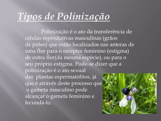 Tipos de Polinização
        Polinização é o ato da transferência de
 células reprodutivas masculinas (grãos
 de pólen) que estão localizados nas anteras de
 uma flor para o receptor feminino (estigma)
 de outra flor(da mesma espécie), ou para o
 seu próprio estigma. Pode-se dizer que a
 polinização é o ato sexual
 das plantas espermatófitos, já
 que é através deste processo que
  o gameta masculino pode
 alcançar o gameta feminino e
 fecundá-lo.
 