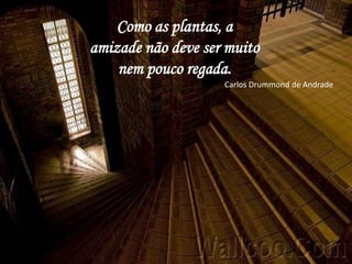 Como as plantas, a
amizade não deve ser muito
    nem pouco regada.
                    Carlos Drummond de Andrade
 