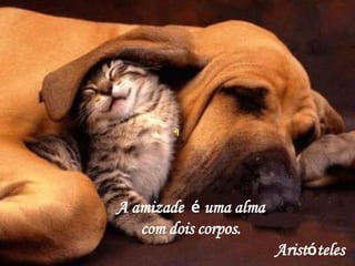A amizade é uma alma
   com dois corpos.
                       Aristóteles
 