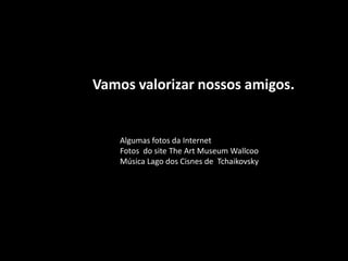Vamos valorizar nossos amigos.


    Algumas fotos da Internet
    Fotos do site The Art Museum Wallcoo
    Música Lago dos Cisnes de Tchaikovsky
 