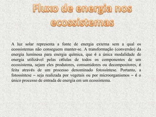 A luz solar representa a fonte de energia externa sem a qual os
ecossistemas não conseguem manter-se. A transformação (conversão) da
energia luminosa para energia química, que é a única modalidade de
energia utilizável pelas células de todos os componentes de um
ecossistema, sejam eles produtores, consumidores ou decompositores, é
feita através de um processo denominado fotossíntese. Portanto, a
fotossíntese – seja realizada por vegetais ou por microorganismos – é o
único processo de entrada de energia em um ecossistema.
 