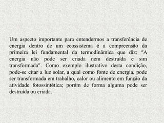 Um aspecto importante para entendermos a transferência de
energia dentro de um ecossistema é a compreensão da
primeira lei fundamental da termodinâmica que diz: “A
energia não pode ser criada nem destruída e sim
transformada”. Como exemplo ilustrativo desta condição,
pode-se citar a luz solar, a qual como fonte de energia, pode
ser transformada em trabalho, calor ou alimento em função da
atividade fotossintética; porém de forma alguma pode ser
destruída ou criada.
 