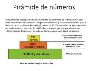 Uma pirâmide ecológica de números mostra a quantidade de indivíduos em cada
nível trófico da cadeia alimentar proporcionalmente à quantidade necessária para a
dieta de cada um desses. Por exemplo, cerca de 10.000 camarões de água doce são
necessários para o sustento de 1.000 alburnetes que, por sua vez, alimentam
100 percas que, finalmente, servirão de alimento para uma águia-pescadora.
 