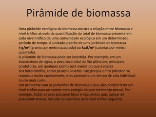 Uma pirâmide ecológica da biomassa mostra a relação entre biomassa e
nível trófico através da quantificação do total de biomassa presente em
cada nível trófico de uma comunidade ecológica em um determinado
período de tempo. A unidade-padrão de uma pirâmide de biomassa
é g/m2 (grama por metro quadrado) ou kcal/m2 (calorias por metro
quadrado).
A pirâmide de biomassa pode ser invertida. Por exemplo, em um
ecossistema de lagoa, o peso seco total do fito plâncton, principais
produtores, em qualquer ponto será menor do que a massa
dos heterótrofos, como peixes e insetos. Isto porque o fito plâncton se
reproduz muito rapidamente, mas apresenta um tempo de vida individual
muito mais curto.
Um problema com as pirâmides de biomassa é que eles podem fazer um
nível trófico parecer conter mais energia do que realmente possui. Por
exemplo, todas as aves possuem bicos e esqueletos que, apesar de
possuírem massa, não são consumidos pelo nível trófico seguinte.
 