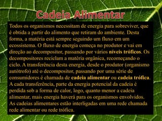 Todos os organismos necessitam de energia para sobreviver, que
é obtida a partir do alimento que retiram do ambiente. Desta
forma, a matéria está sempre seguindo um fluxo em um
ecossistema. O fluxo de energia começa no produtor e vai em
direção ao decompositor, passando por vários níveis tróficos. Os
decompositores reciclam a matéria orgânica, recomeçando o
ciclo. A transferência desta energia, desde o produtor (organismo
autótrofo) até o decompositor, passando por uma série de
consumidores é chamada de cadeia alimentar ou cadeia trófica.
A cada transferência, parte da energia potencial da cadeia é
perdida sob a forma de calor, logo, quanto menor a cadeia
alimentar, mais energia haverá para os organismos envolvidos.
As cadeias alimentares estão interligadas em uma rede chamada
rede alimentar ou rede trófica.
 