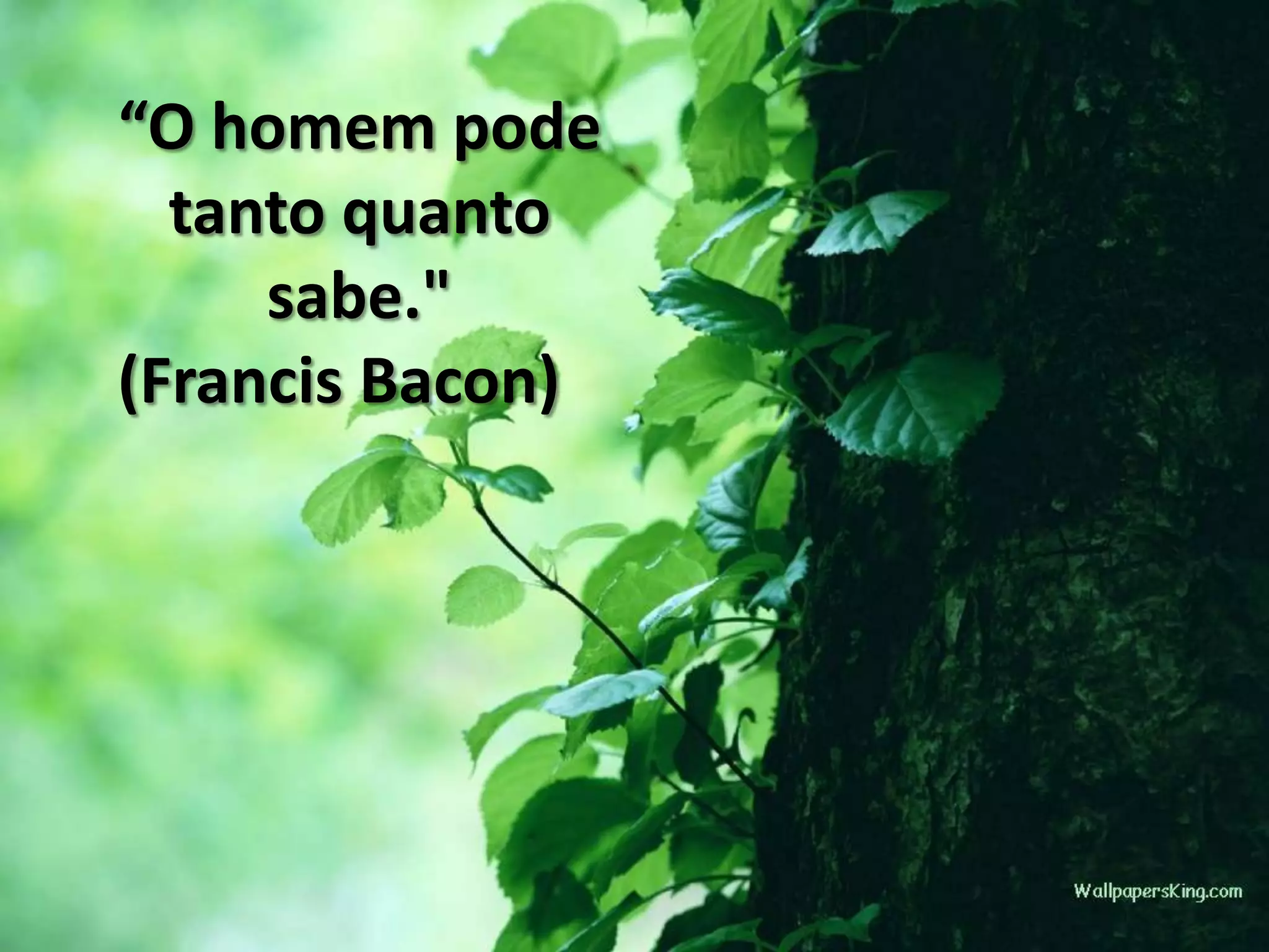“O homem pode
tanto quanto
sabe."
(Francis Bacon)