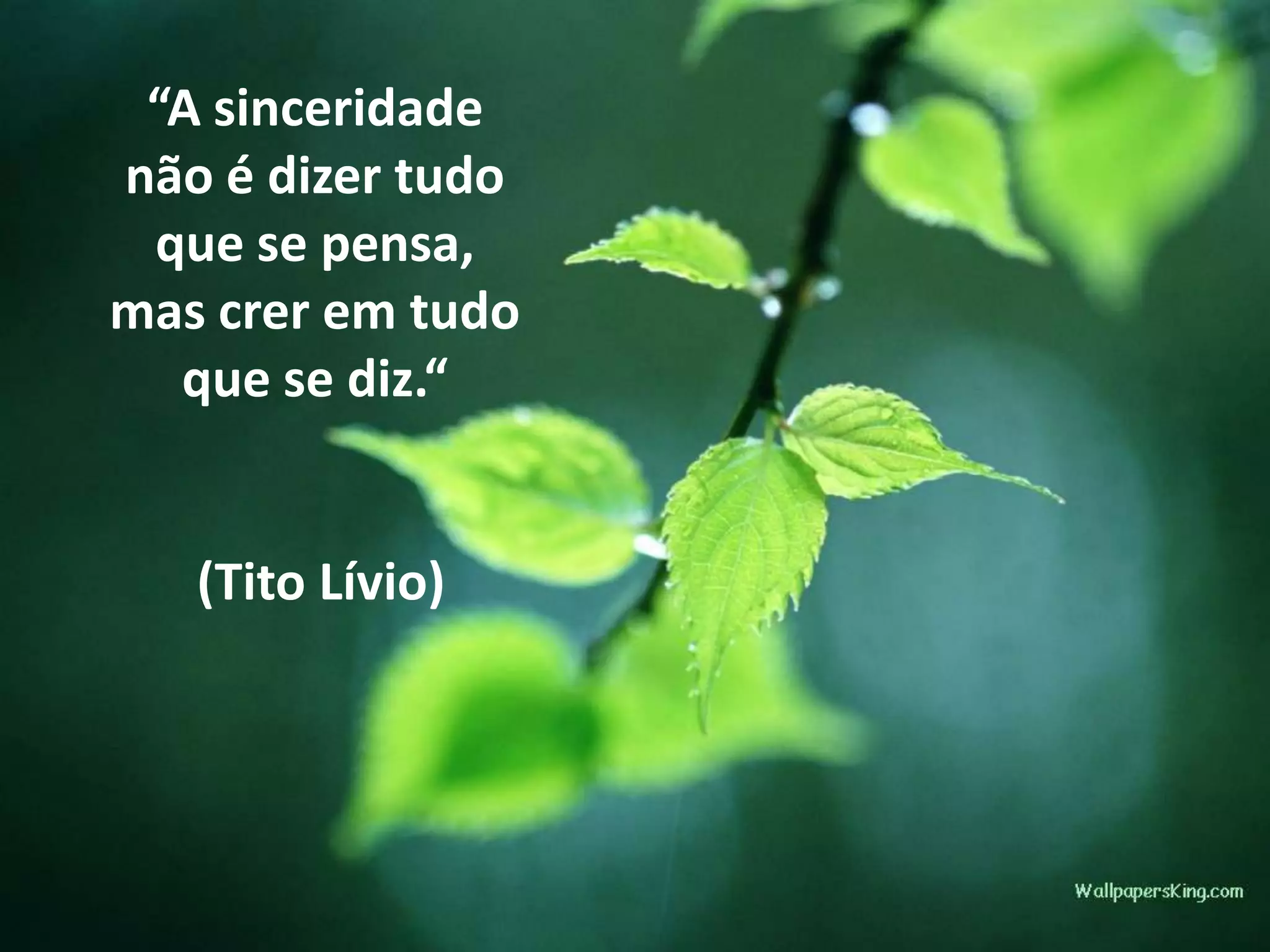 “A sinceridade
não é dizer tudo
que se pensa,
mas crer em tudo
que se diz.“
(Tito Lívio)