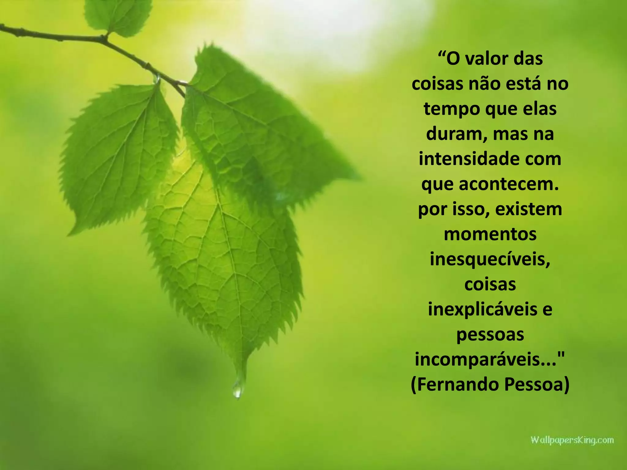 “O valor das
coisas não está no
tempo que elas
duram, mas na
intensidade com
que acontecem.
por isso, existem
momentos
inesquecíveis,
coisas
inexplicáveis e
pessoas
incomparáveis..."
(Fernando Pessoa)