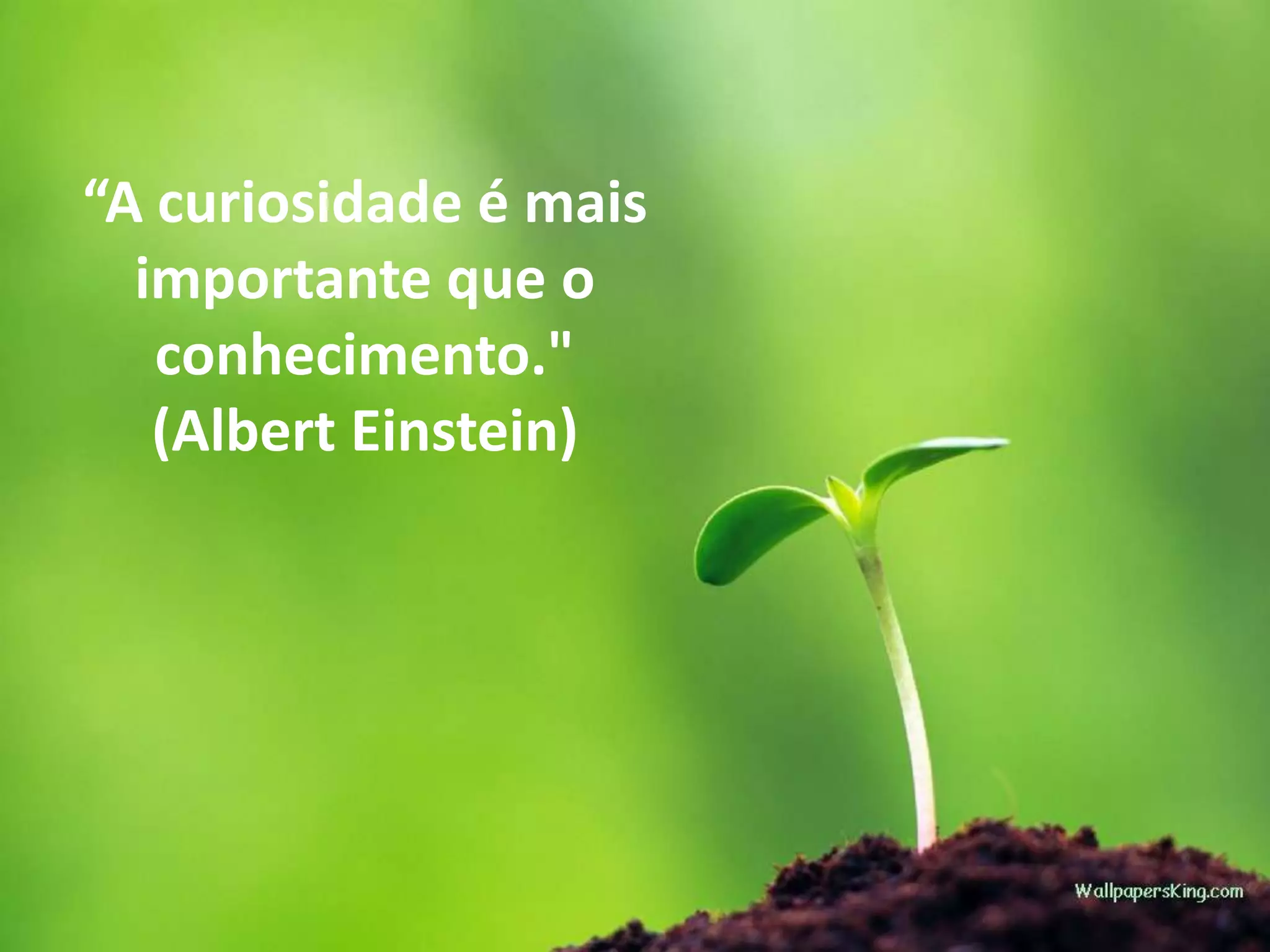 “A curiosidade é mais
importante que o
conhecimento."
(Albert Einstein)